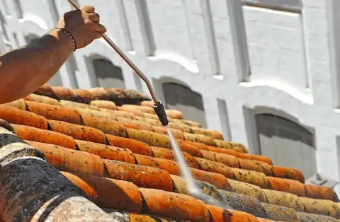 Nettoyage de toitures - Nivigne et Suran